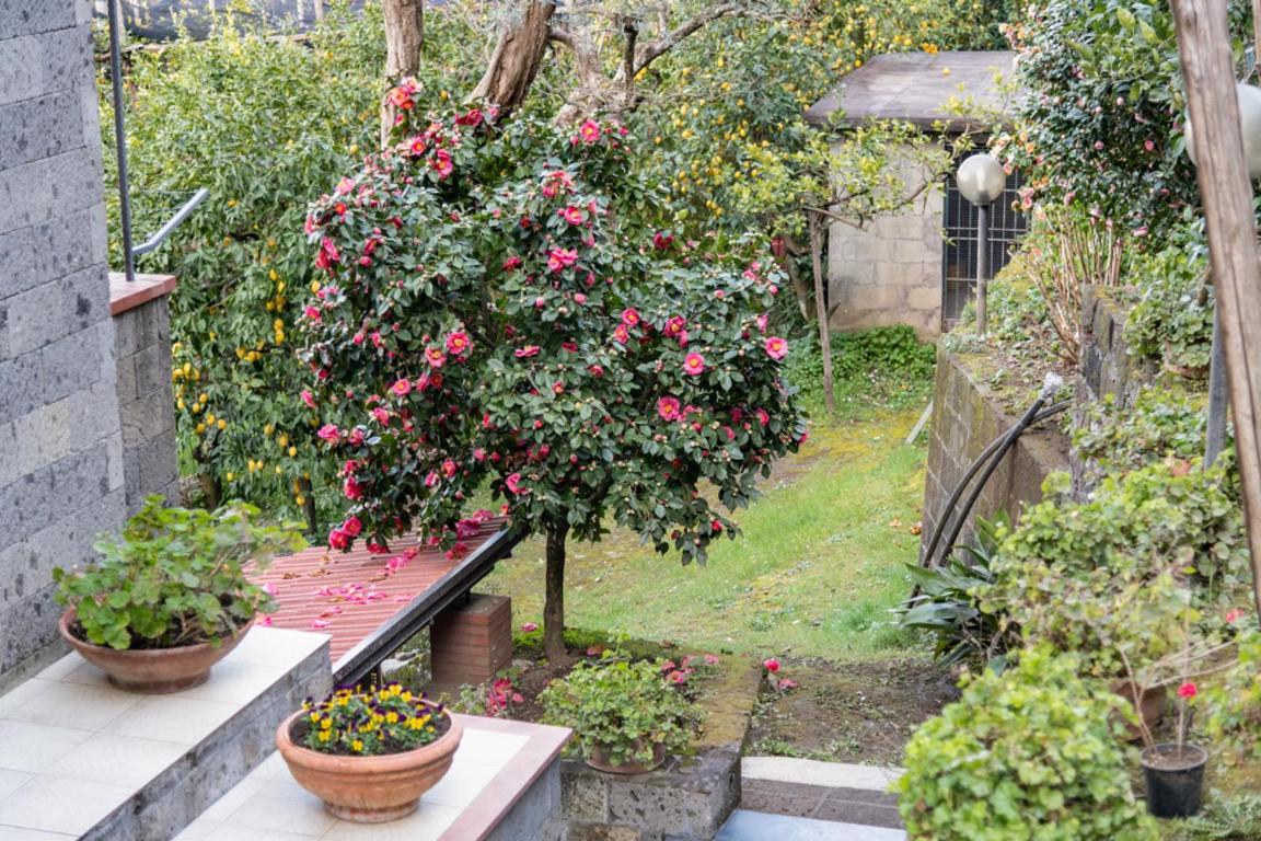 Sorrentovibes - Sea View Rooftop Apartment With Jacuzzi & Garden Экстерьер фото