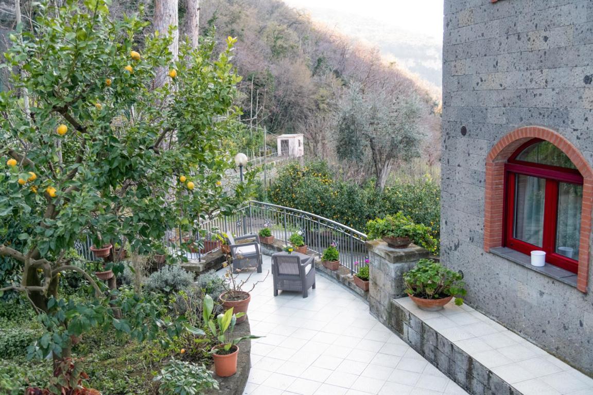 Sorrentovibes - Sea View Rooftop Apartment With Jacuzzi & Garden Экстерьер фото