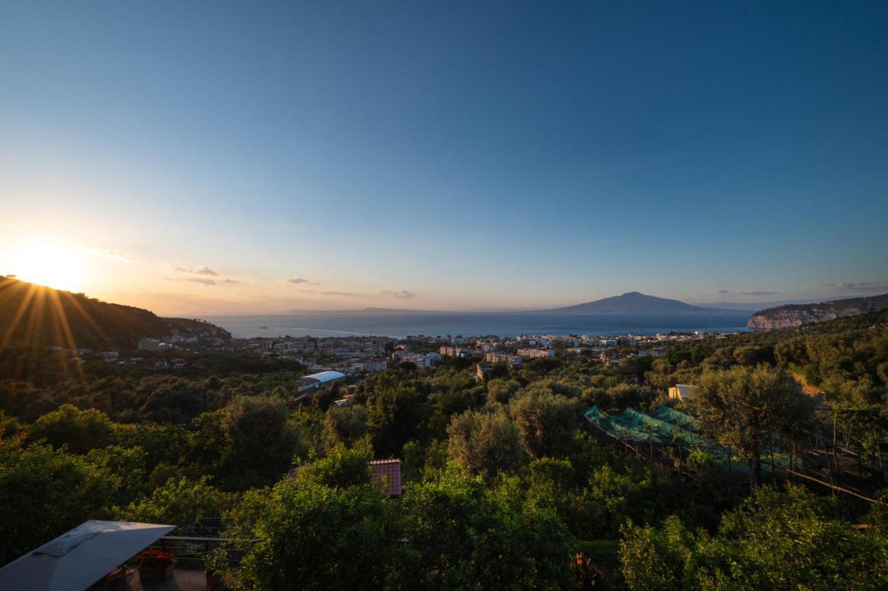 Sorrentovibes - Sea View Rooftop Apartment With Jacuzzi & Garden Экстерьер фото